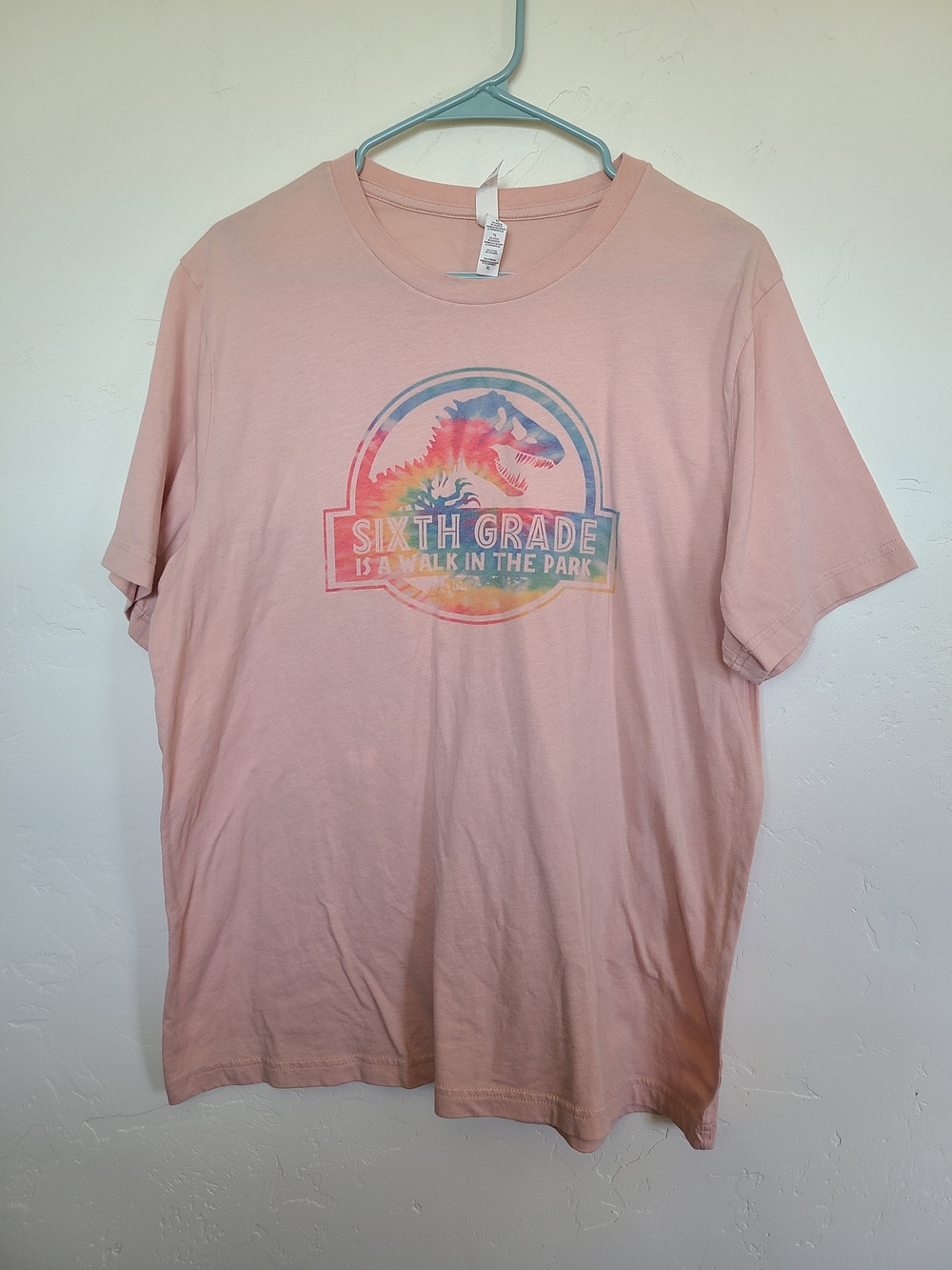 Bella+Canvas Pink Graphic Tee with Sixth Grade Jurassic Park Print XL